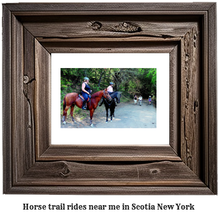 horse trail rides near me in Scotia, New York